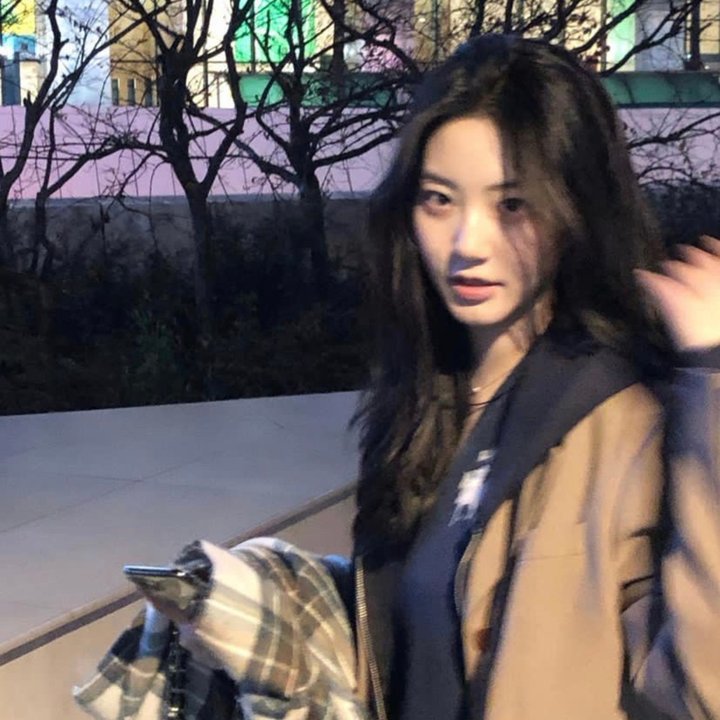 女导与强盗